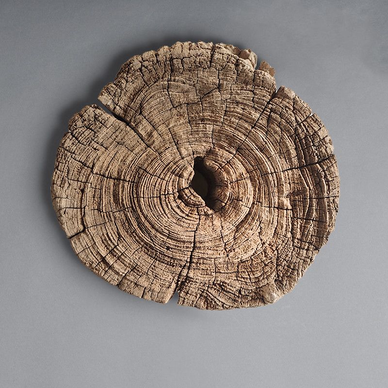 Fragment de bois - Image 2